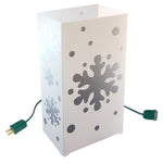 Silver Snowflake