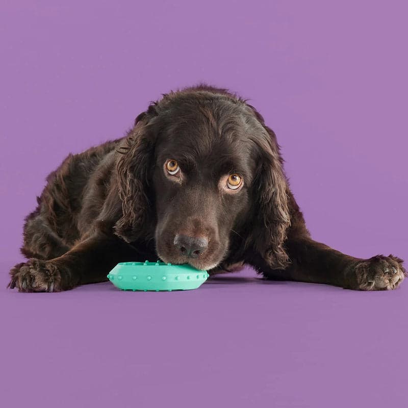 Yomp ChillChew - Dog Chew Toy