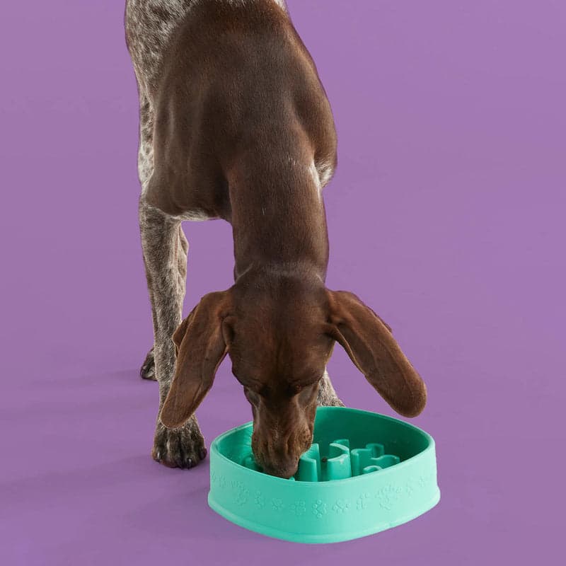 Yomp FunFeeder - Dog Bowl