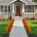 Black and Orange