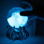 Bio-Orb with OctoStand