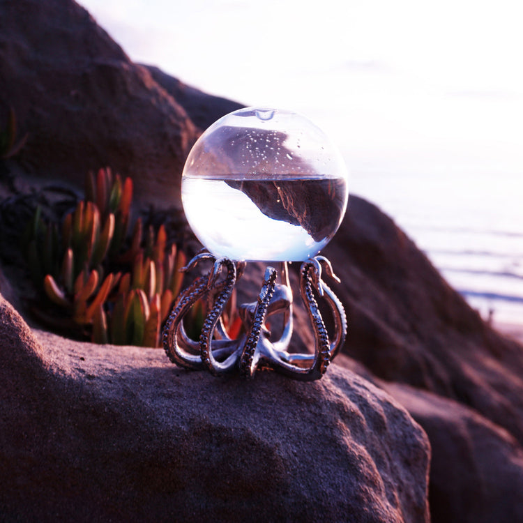 Bio-Orb with OctoStand