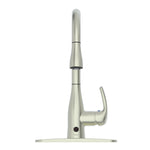 Brushed Nickel