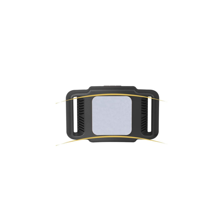 Black/Gold
