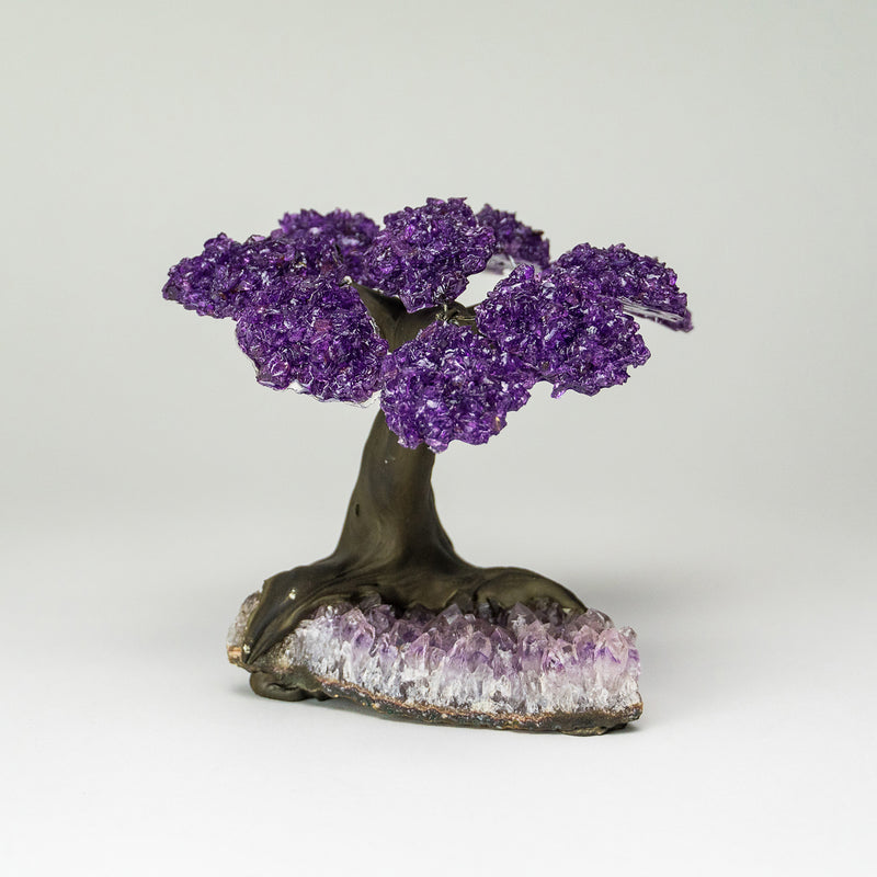 Medium - Amethyst Clustered Gemstone Tree on Amethyst Matrix (The Protection Tree)