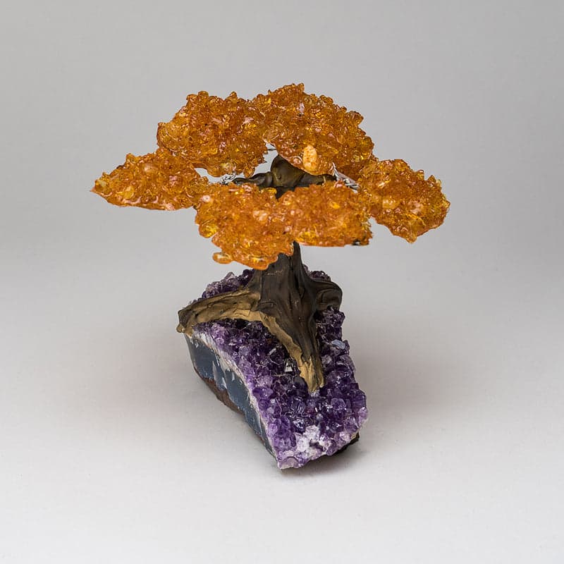 Medium - Genuine Citrine Clustered Gemstone Tree on Amethyst Matrix (The Money Tree)
