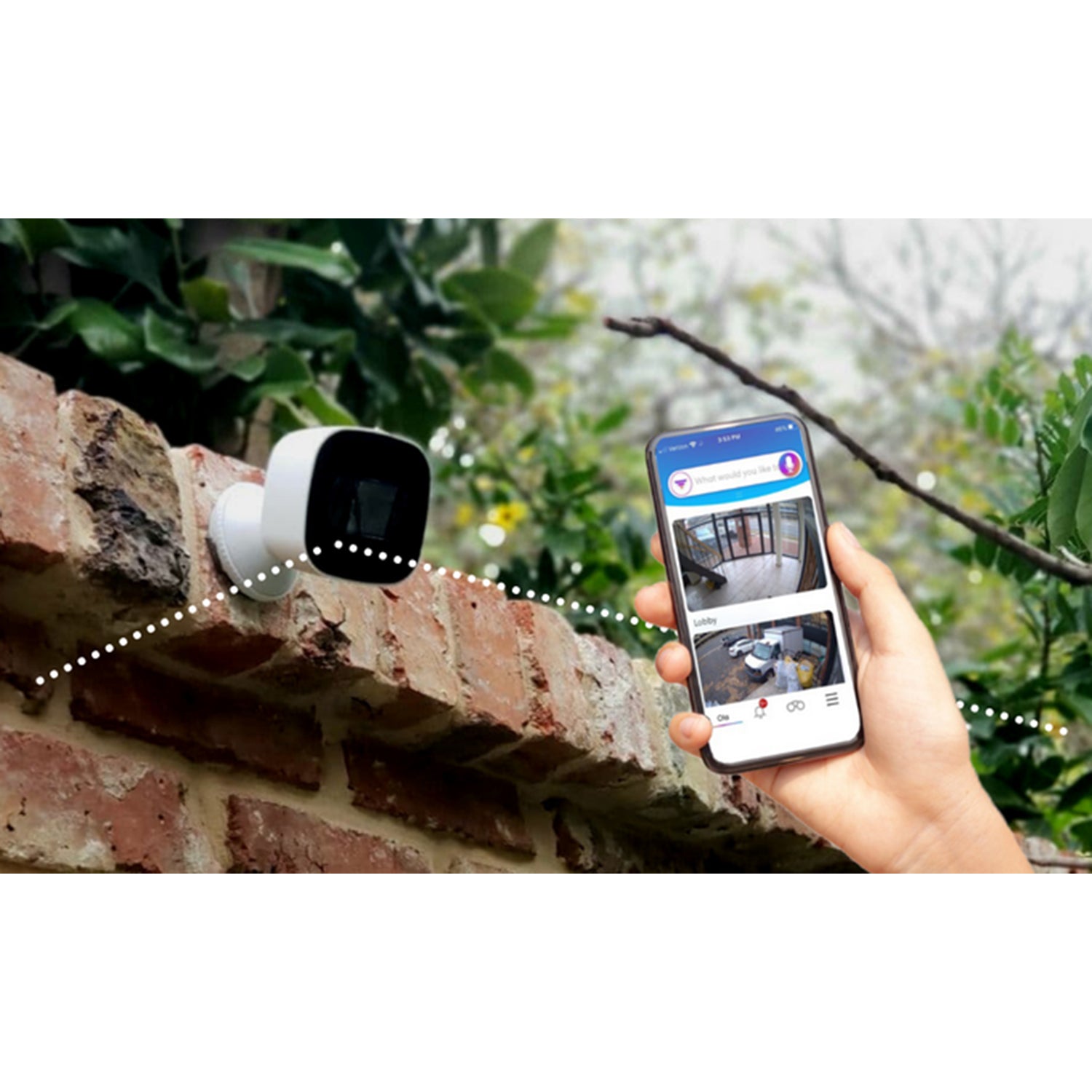 OlaUSA Smart Security Camera 3 Pack Brookstone