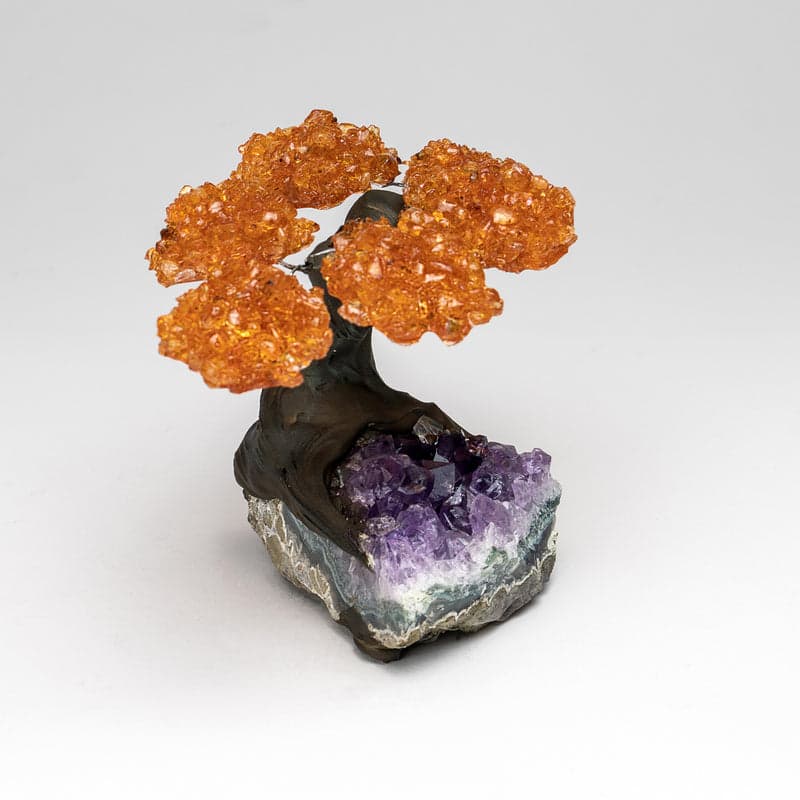 Small - Genuine Citrine Clustered Gemstone Tree on Amethyst Matrix (The Money Tree)