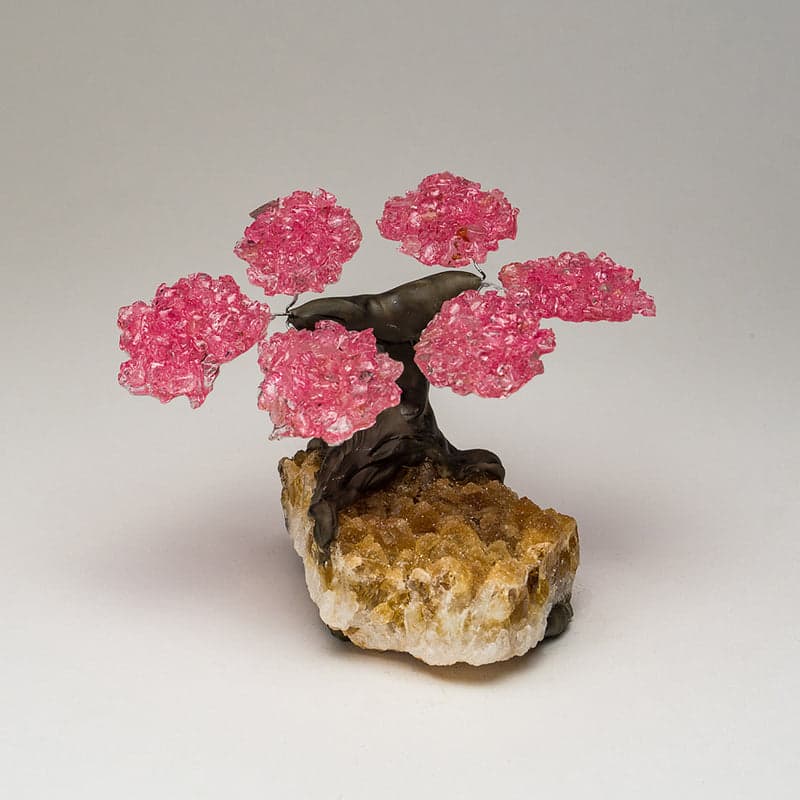 Small Rose Quartz Clustered Gemstone Tree on Citrine Matrix