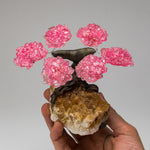 Small Rose Quartz Clustered Gemstone Tree on Citrine Matrix