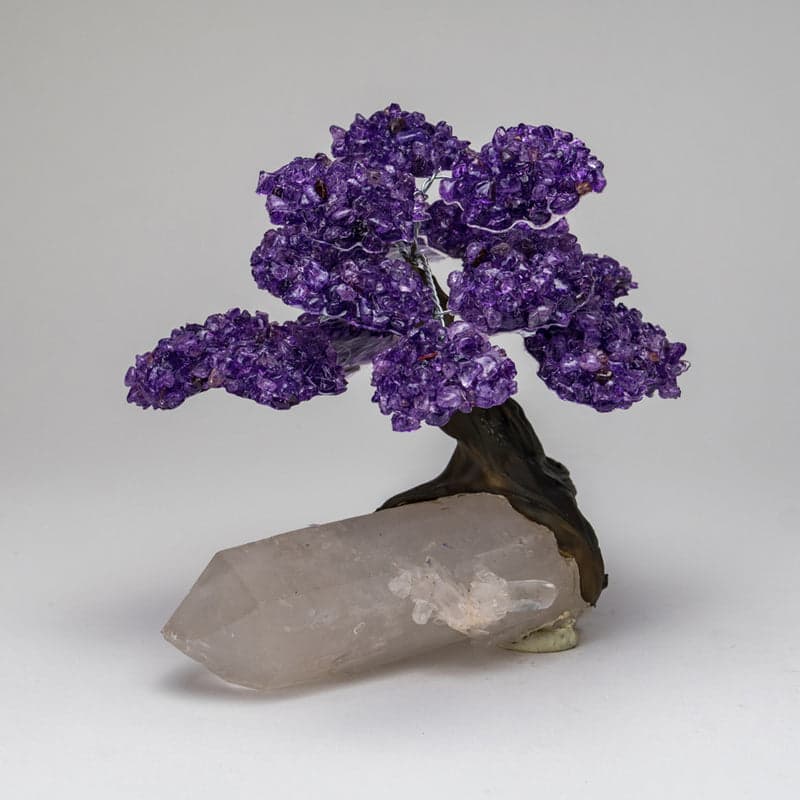 Large - Genuine Amethyst Clustered Gemstone Tree on a Clear Quartz Crystal (The Harmony Tree)