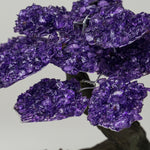 Large - Genuine Amethyst Clustered Gemstone Tree on Clear Quartz Matrix (The Relaxation Tree)