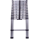 Viatek iReach Ladder