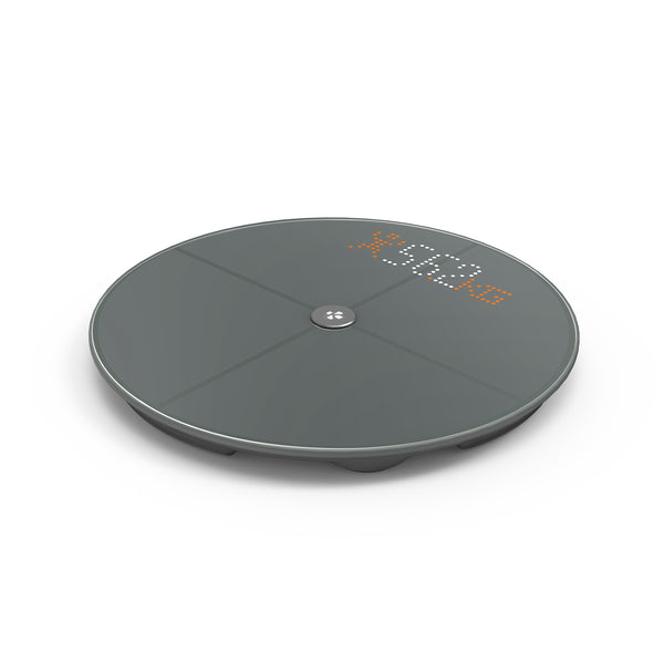 Smart Body Scale with Color Display Brookstone